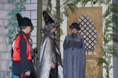 aladin-12