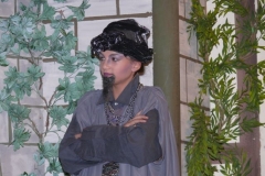 aladin-13