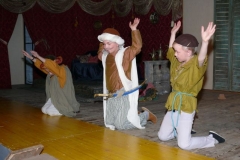 aladin-6