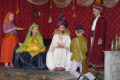 aladin-9